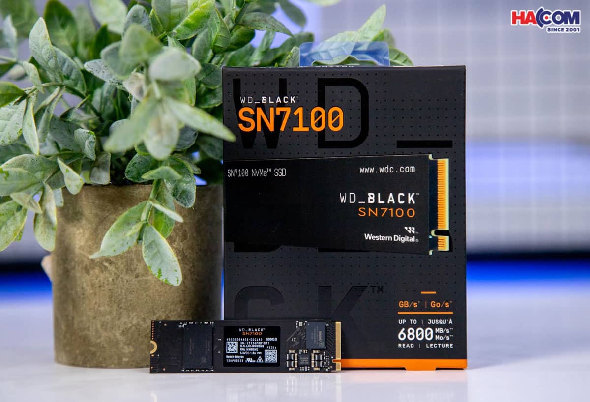 WD SN7100 Black 4TB - thư viện game khủng cho PS5
