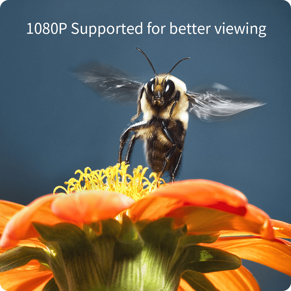 Máy Chiếu Mini Vankyo Leisure 410W 