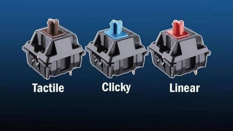 phân biệt tactile vs linear và clicky