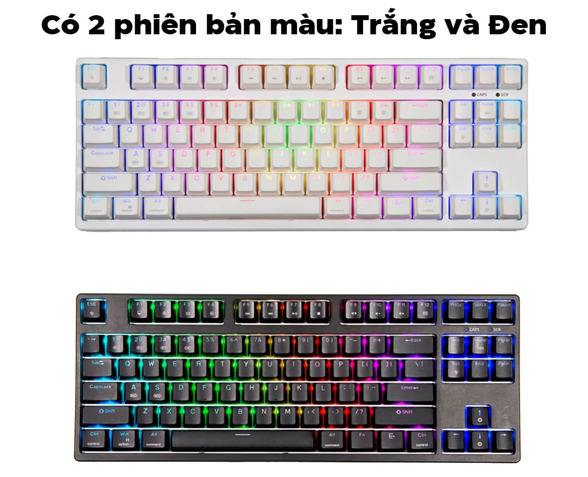 Bàn phím cơ không dây Fuhlen T87S Pro White