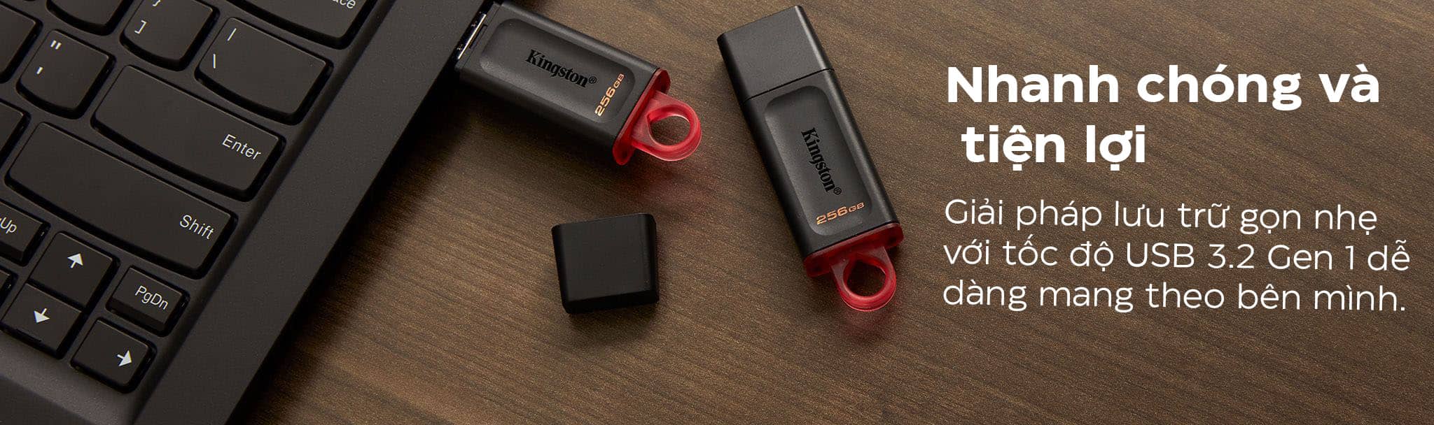 USB Kingston  DataTraveler Exodia DTX