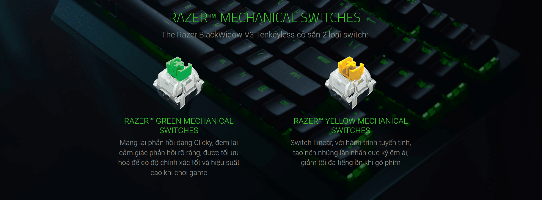 Bàn phím cơ Razer Blackwidows V3 Tenkeyless (USB/RGB/Green switch/Đen) (RZ03-03490100-R3M1) 2