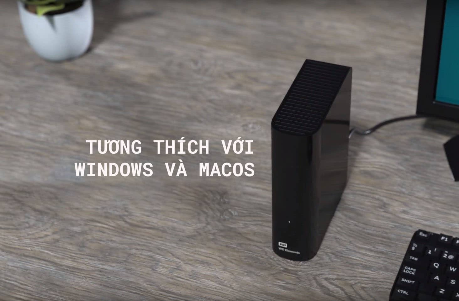 Ổ cứng gắn ngoài 3.5 inch WD Elements