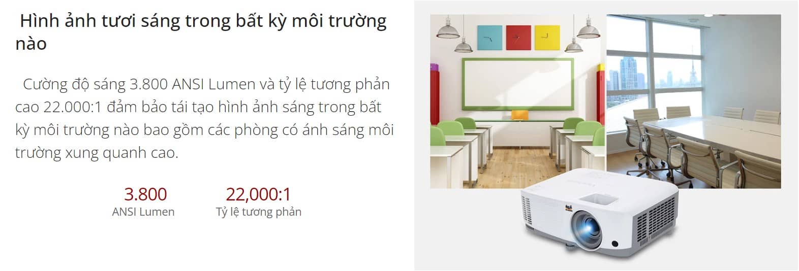 Máy chiếu đa năng Viewsonic PA503