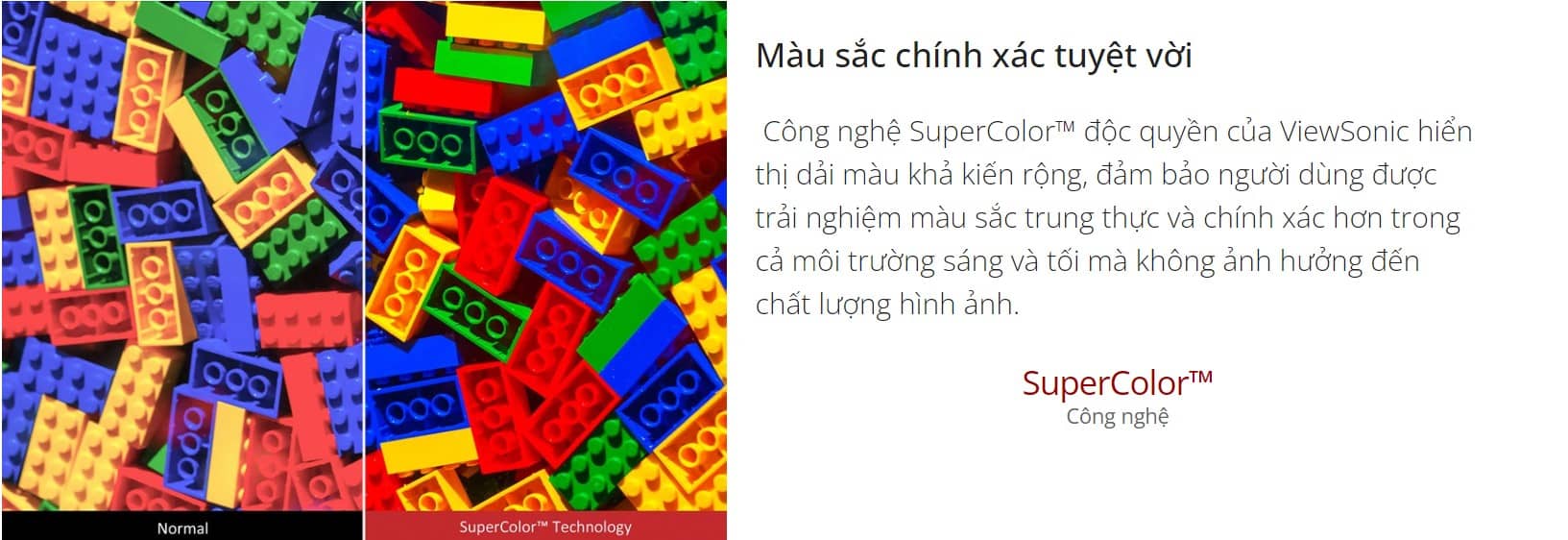 Máy chiếu đa năng Viewsonic PA503