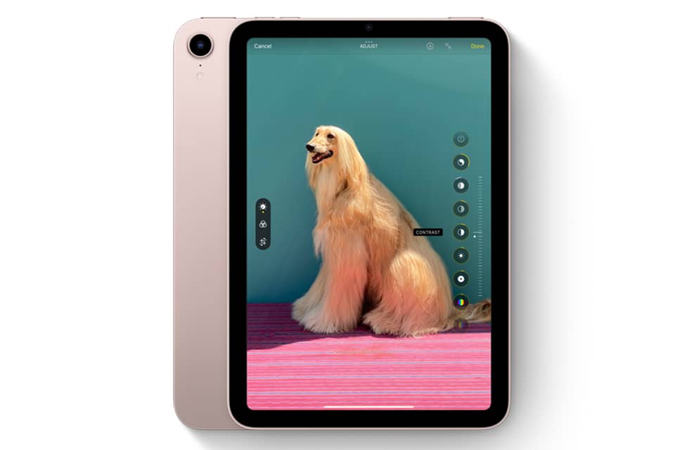 Máy tính bảng Apple Ipad mini 8.3