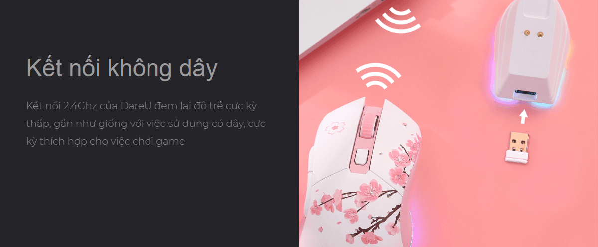 Chuột không dây Dareu EM901X RGB Blue White 4