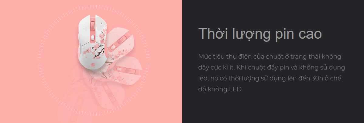 Chuột không dây Dareu EM901X RGB Blue White 6