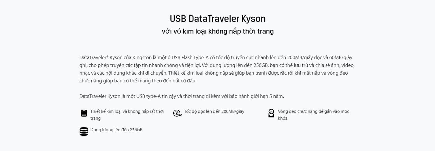 USB Kingston  DataTraveler Kyson (USB3.2 Gen1