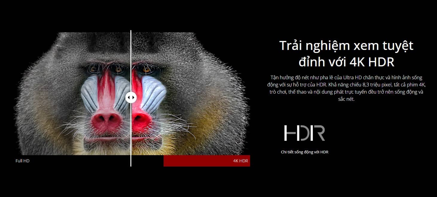 Máy chiếu ViewSonic X11