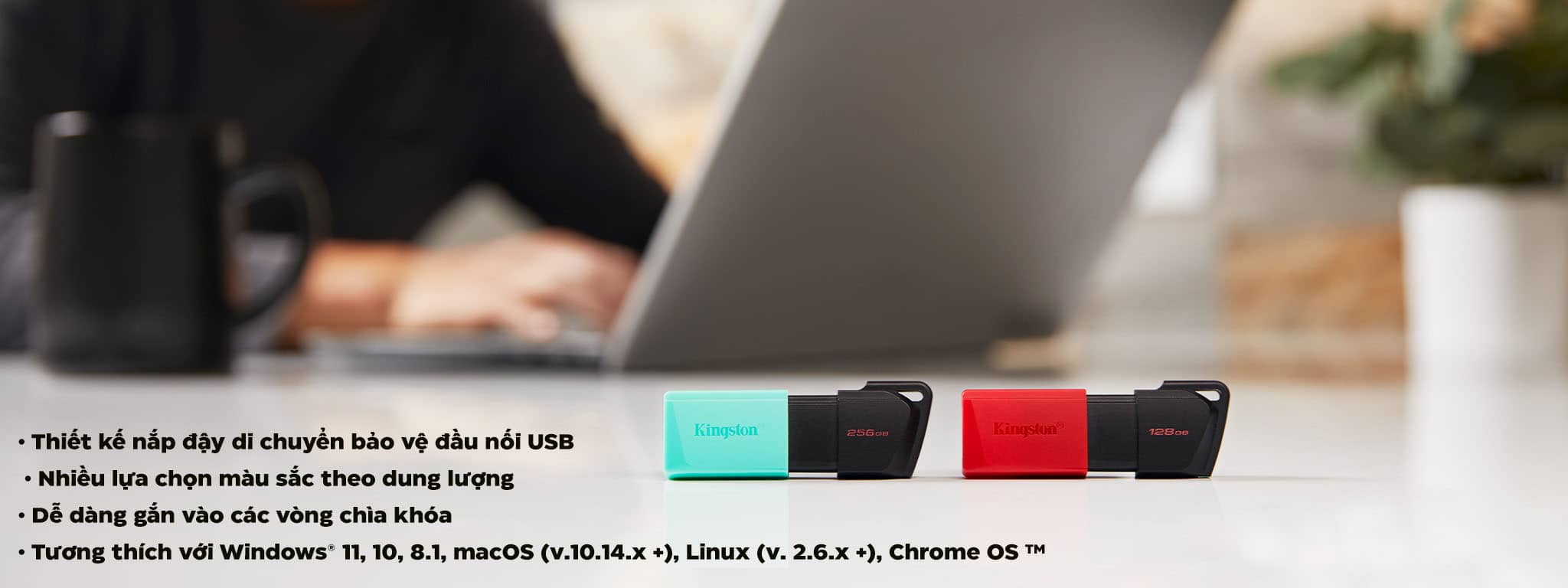 USB Kingston DataTraveler Exodia M DTXM