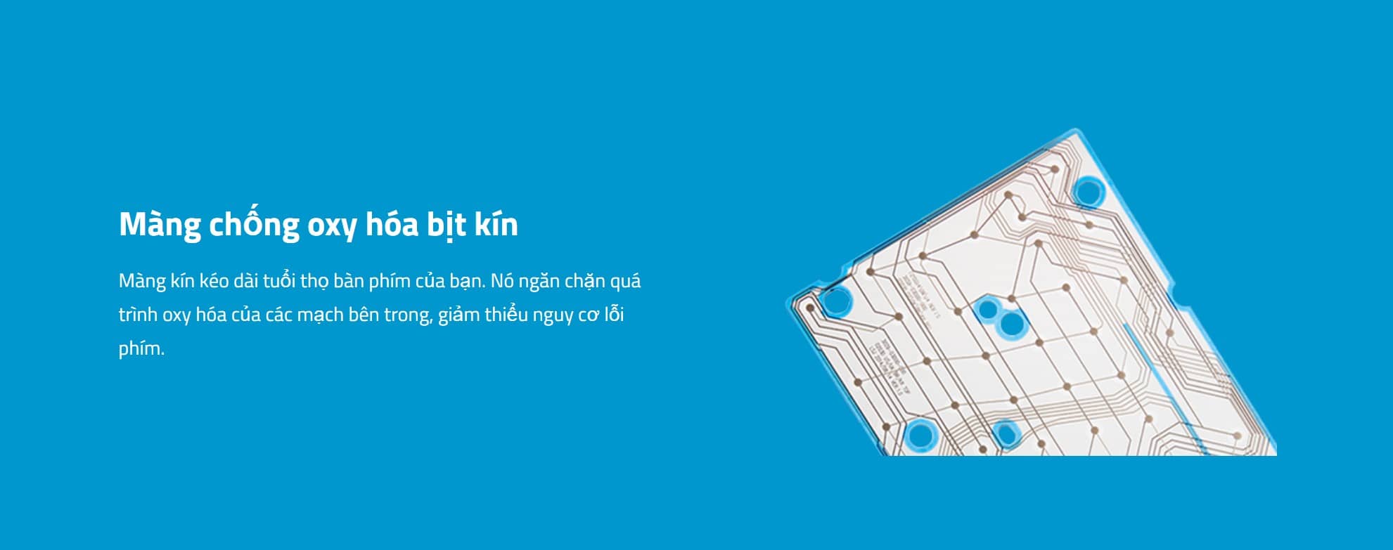 Bàn phím không dây Rapoo K2800 màu đen (USB)