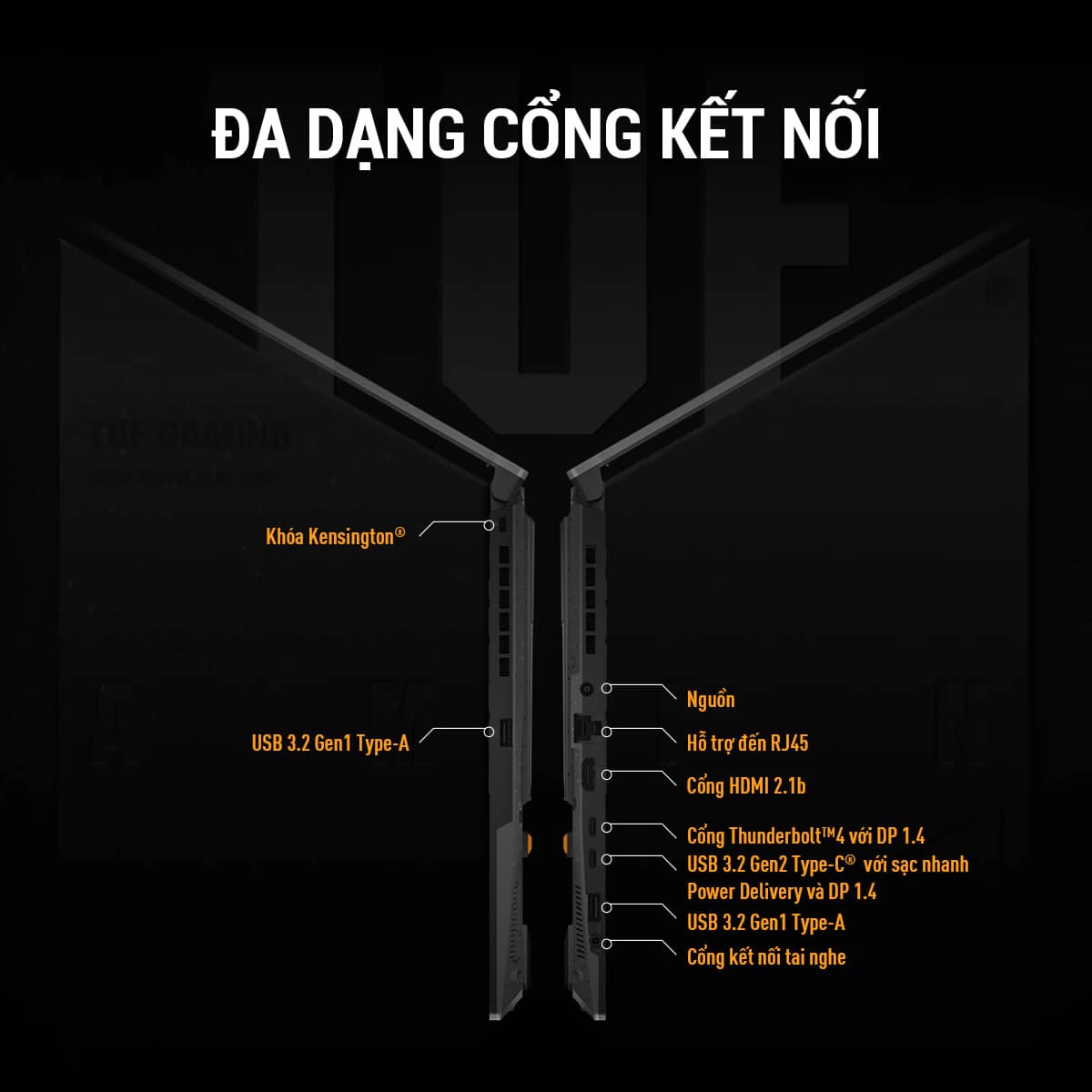 Laptop Asus Gaming TUF FX507VU-LP197W (i7 13620H/32GB RAM/512GB SSD/15.6 FHD 144hz/RTX4050 6GB/Win11/Xám) ảnh 5