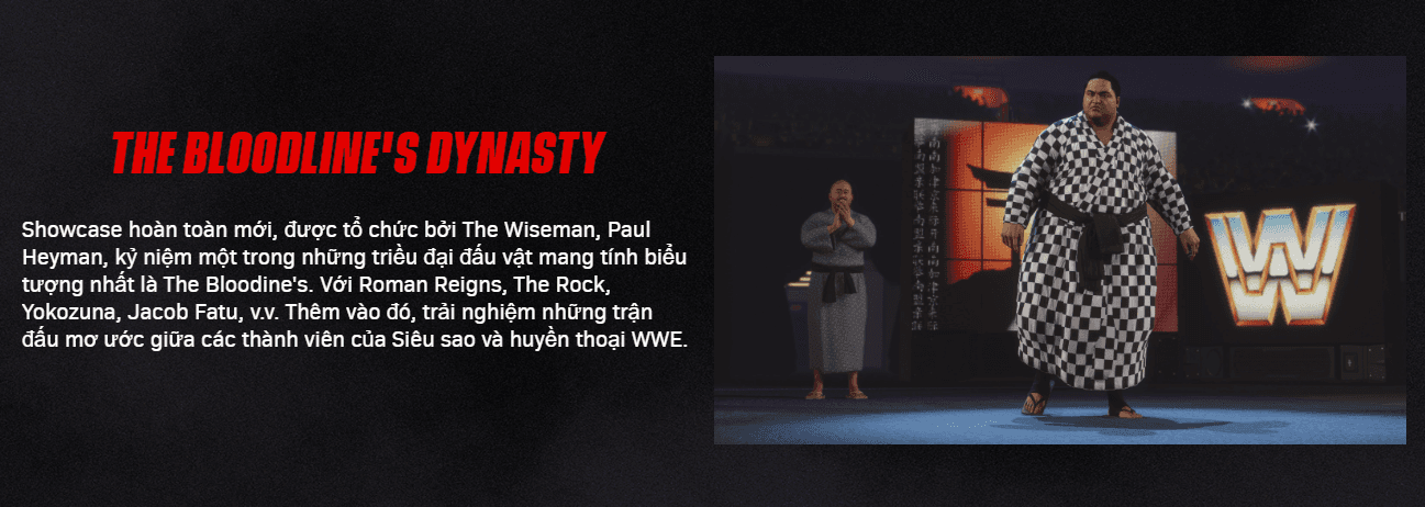 Đĩa game PS4 - WWE 2K25 - EU 3