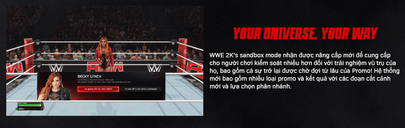 Đĩa game PS4 - WWE 2K25 - EU 6