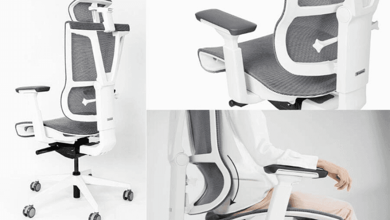 Ghế công thái học là gì 