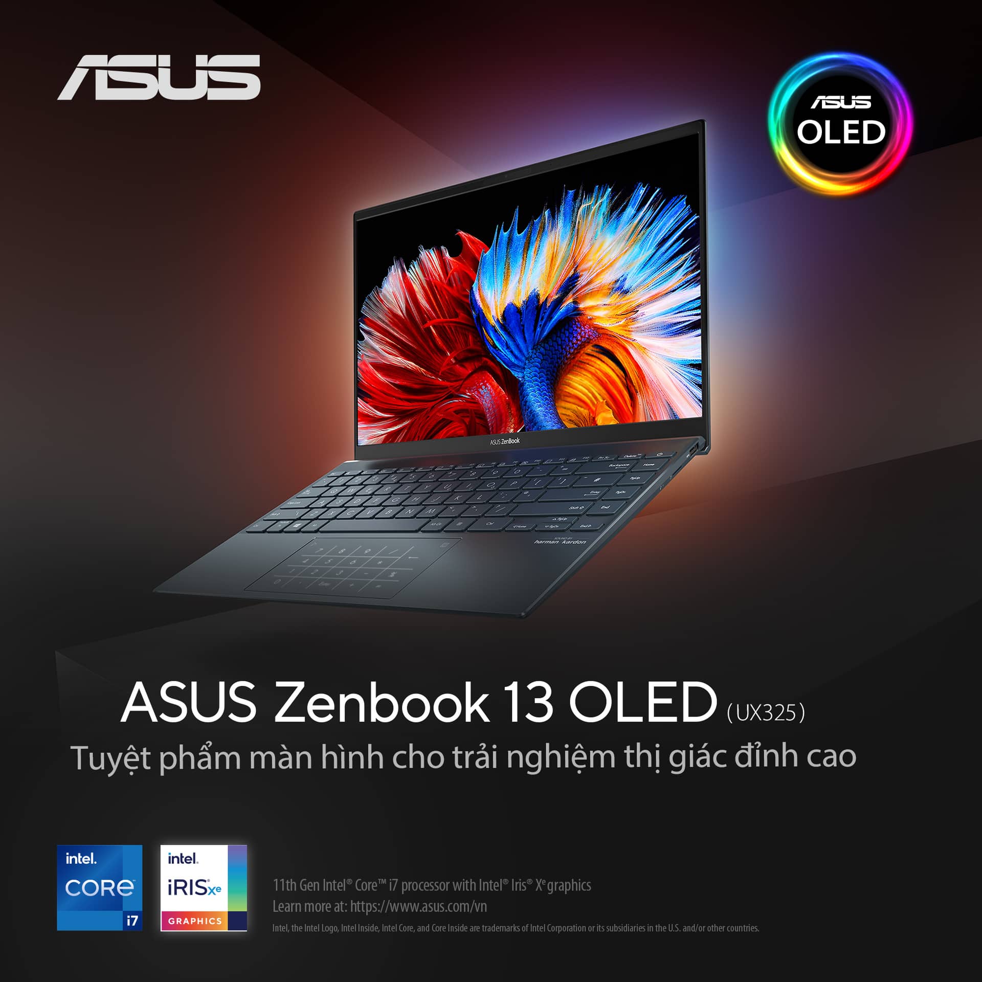 hanoicomputer-UX325_OLED-1