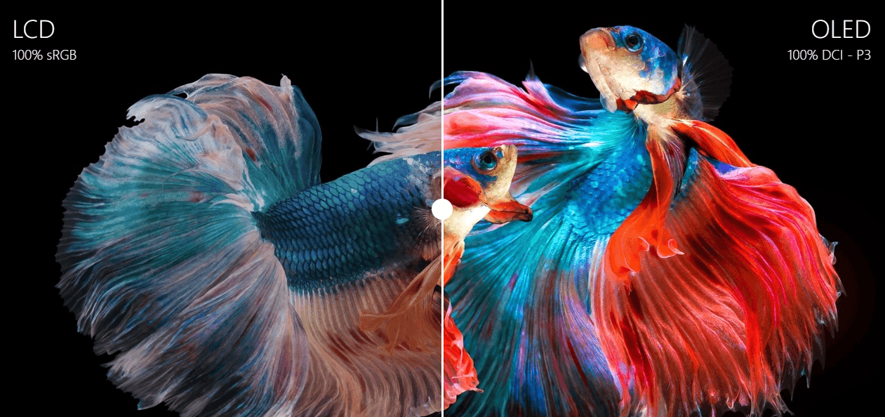 hanoicomputer-UX325_OLED-3