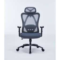 Ghế Công Thái Học WARRIOR Hero series WEC501 Plus Black/Grey