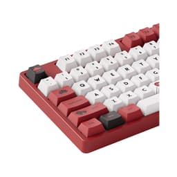 Bàn phím AKKO 5108B Plus Red World Tour Viet Nam 6