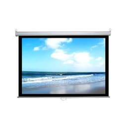 Màn chiếu treo tường Dalite PW150WS ( 3m05x2m29 ) - 150 inch
