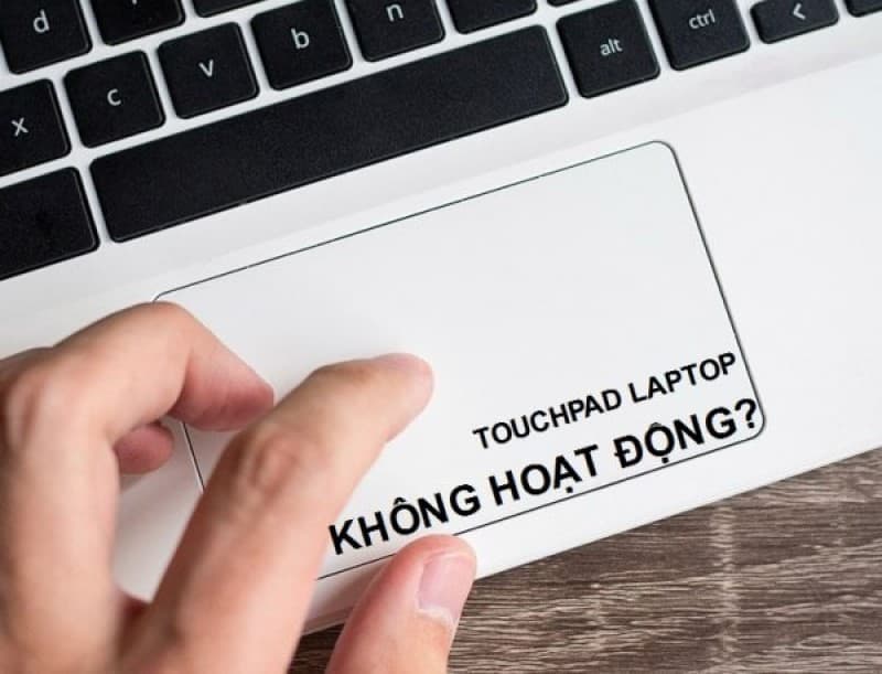 Tại sao chuột laptop không di chuyển được ? Cách sửa ra sao? 