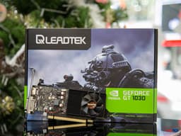 56702_card_man_hinh_leadtek_winfast_gt_1030_2gb_11.jpg 4