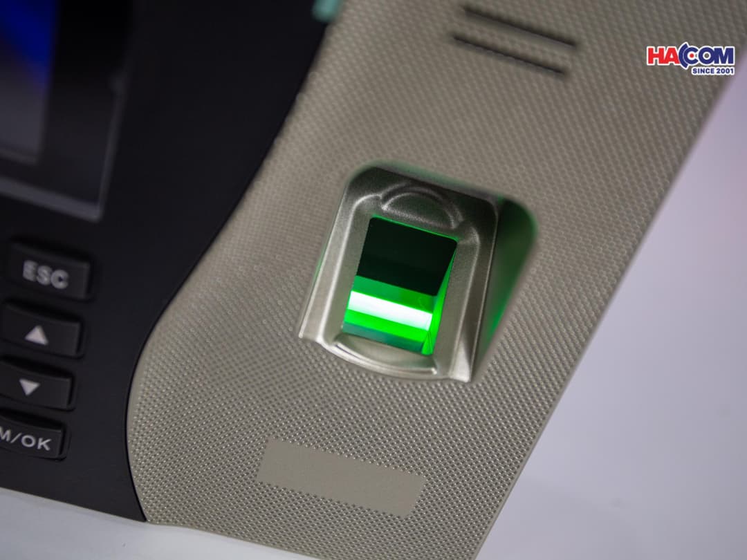 61090_img_9952.jpg 4