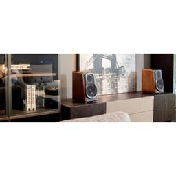 63873_loa_edifier_s1000mkii_6.jpg 5