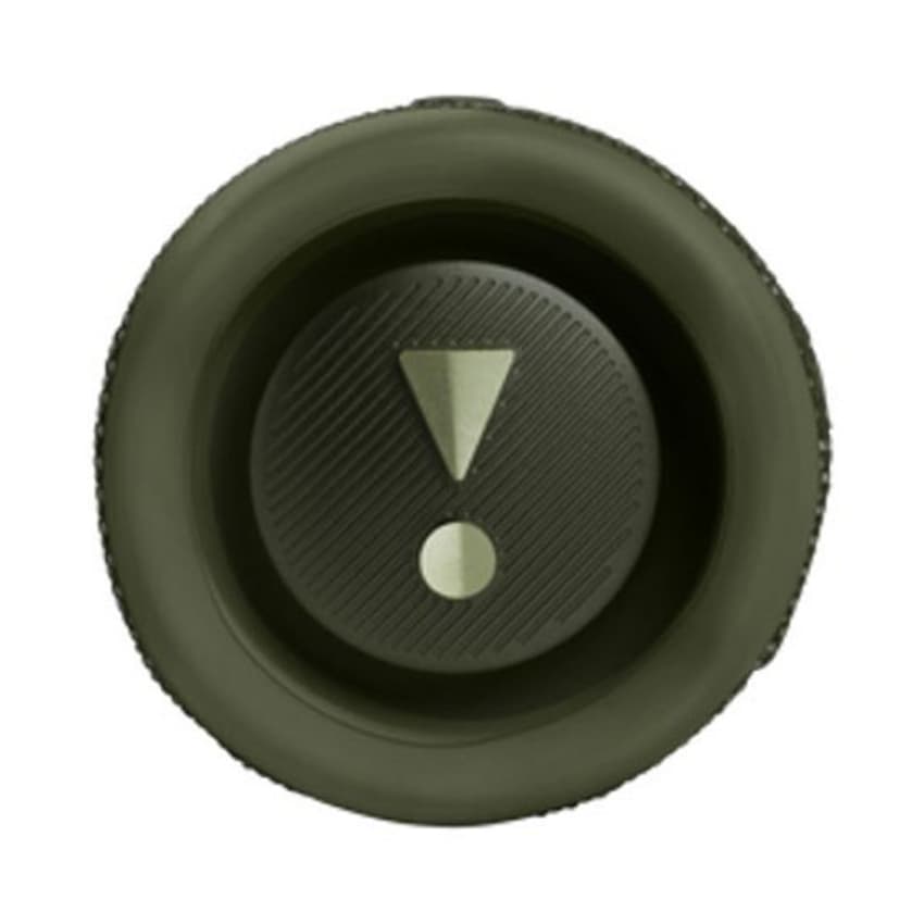 68131_loa_di_dong_jbl_flip_6_mau_xanh_la_cay_3.jpg 4