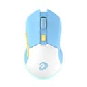 Danh sách hình ảnh chụp sản phẩm