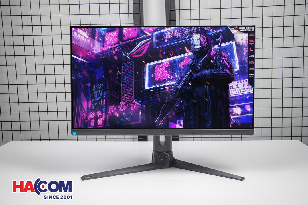 77795_img_2714.JPG 8