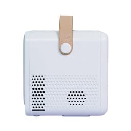 80454_may_chieu_mini_beecube_x2_max_gen_4_3.jpg 3