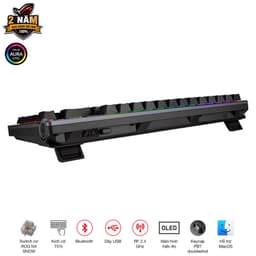 80945_rog_azoth_07.jpg 5