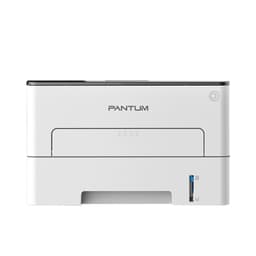 Máy in Pantum P3010D - Đơn năng