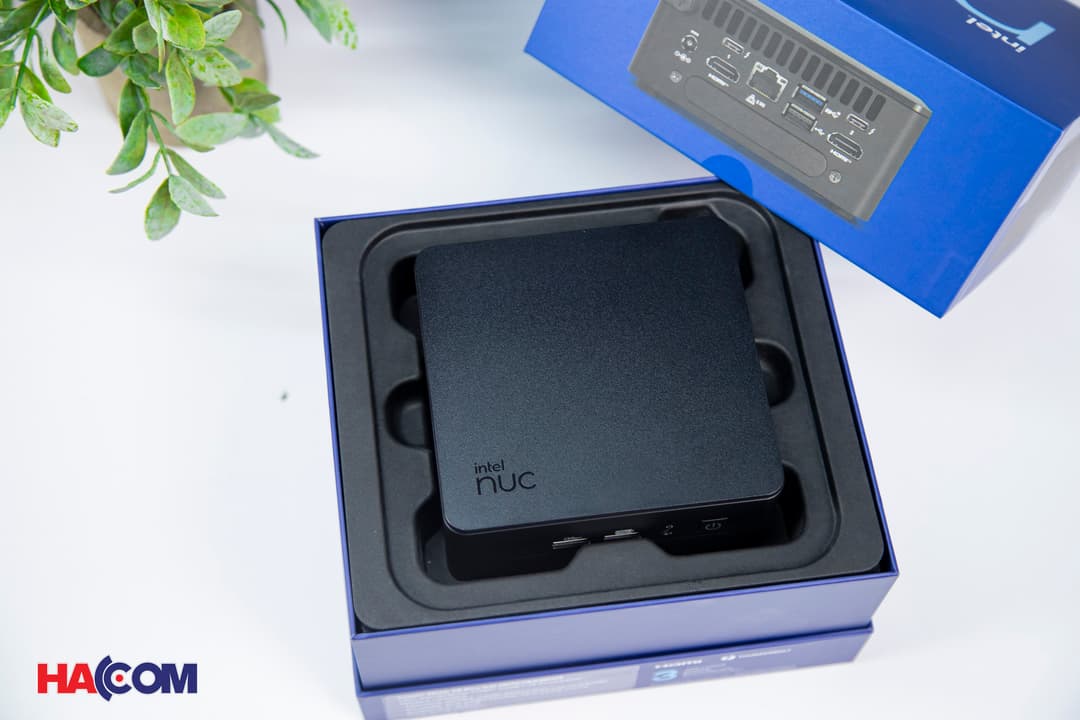 81180_img_1051.JPG 7