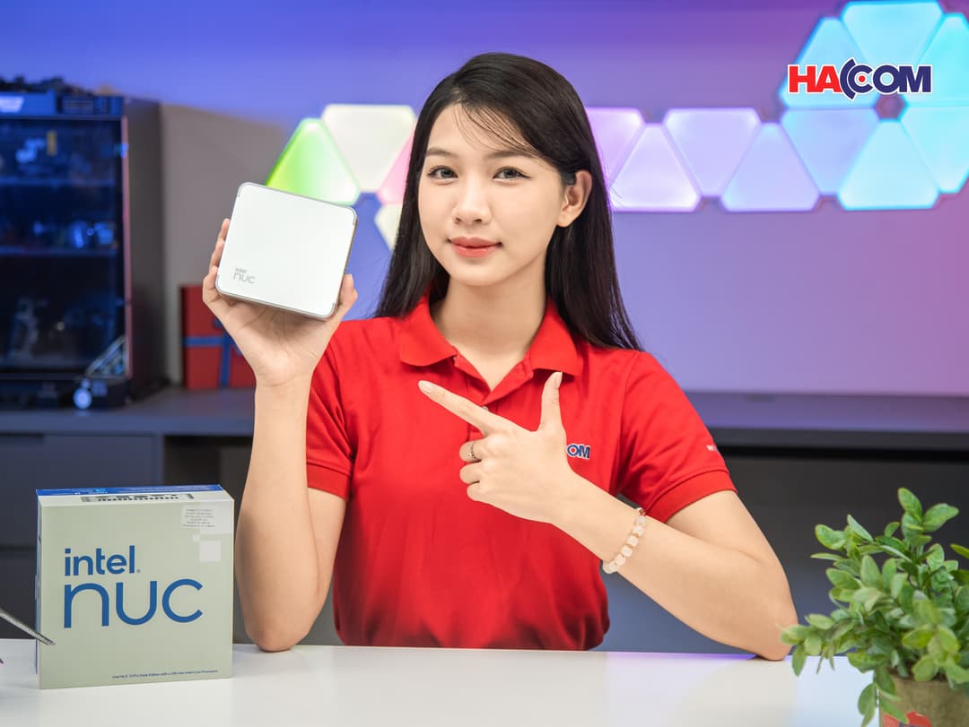 81181_img_0330.jpg 8