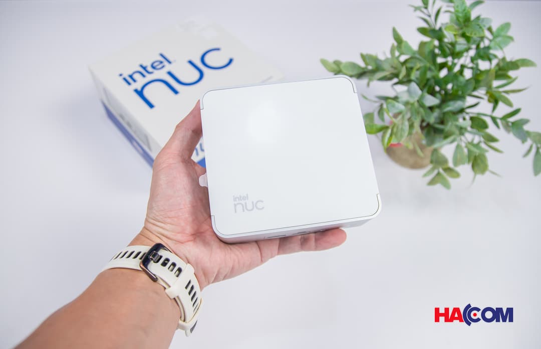 81182_img_0321.jpg 7