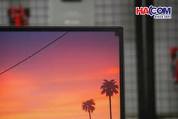 83189_dsc05263.JPG 8