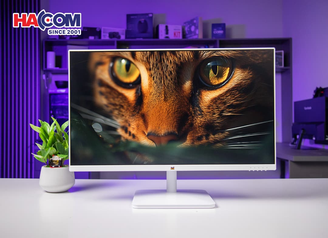 83422_img_3203.JPG 8