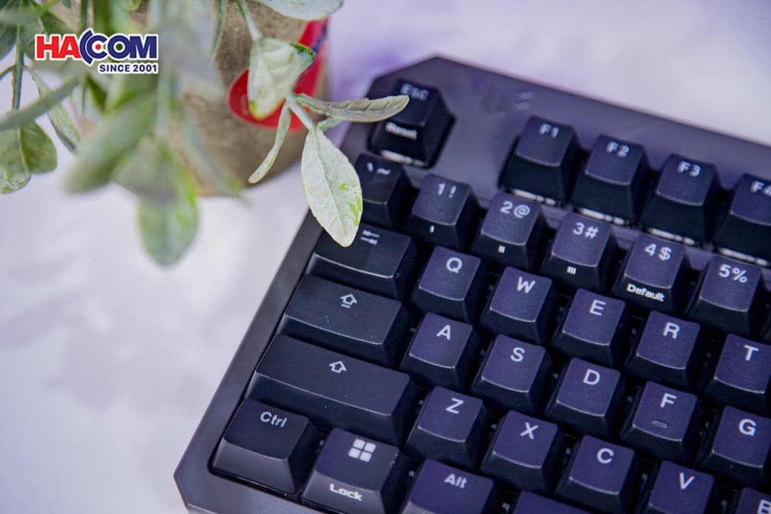 83437_ban_phim_co_asus_tuf_k3_gen_ii_black_05.JPG 12