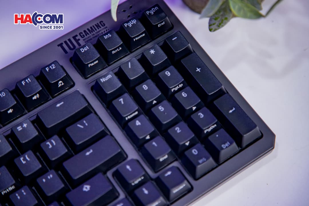 83437_ban_phim_co_asus_tuf_k3_gen_ii_black_06.JPG 13