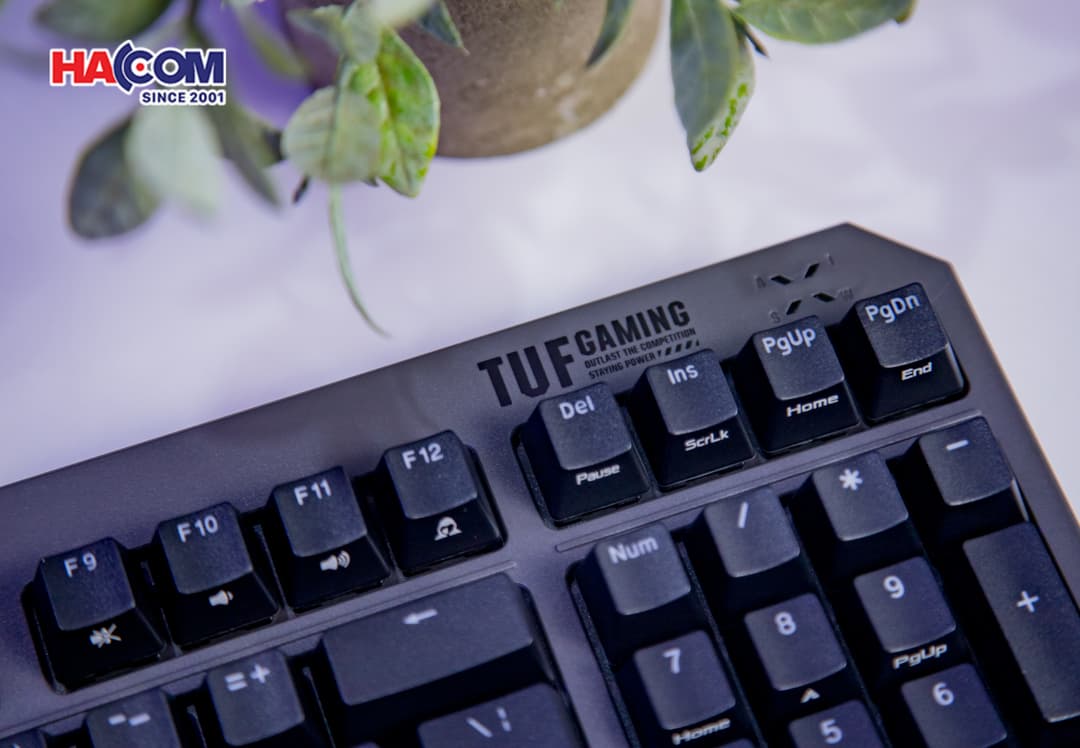 83437_ban_phim_co_asus_tuf_k3_gen_ii_black_07.JPG 14