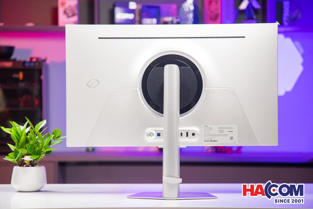 83880_img_4246.JPG 11