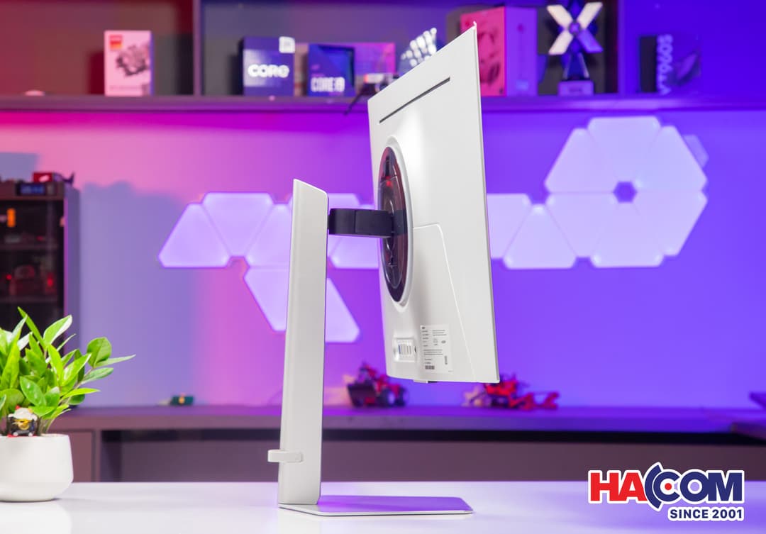 83880_img_4255.JPG 10