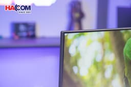 84069_img_3165.JPG 9