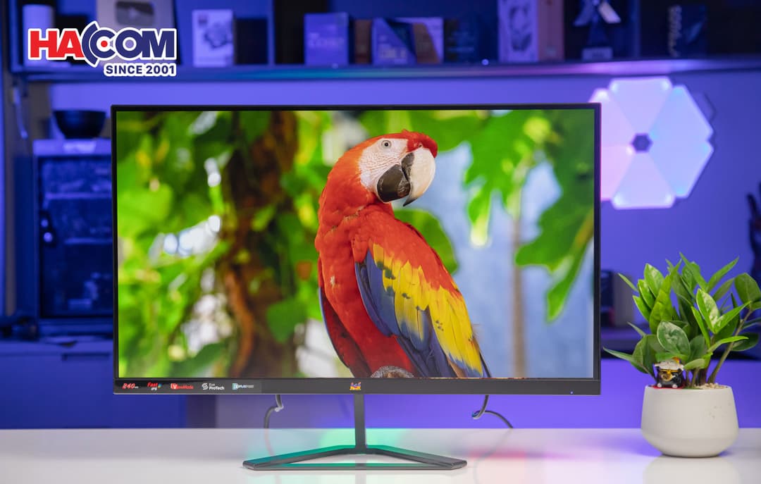 84438_img_3085a.jpg 7