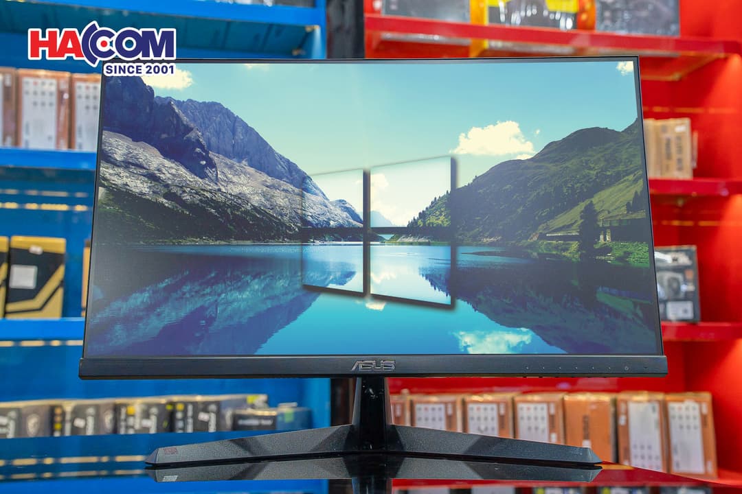 87254_dsc06278a.jpg 4