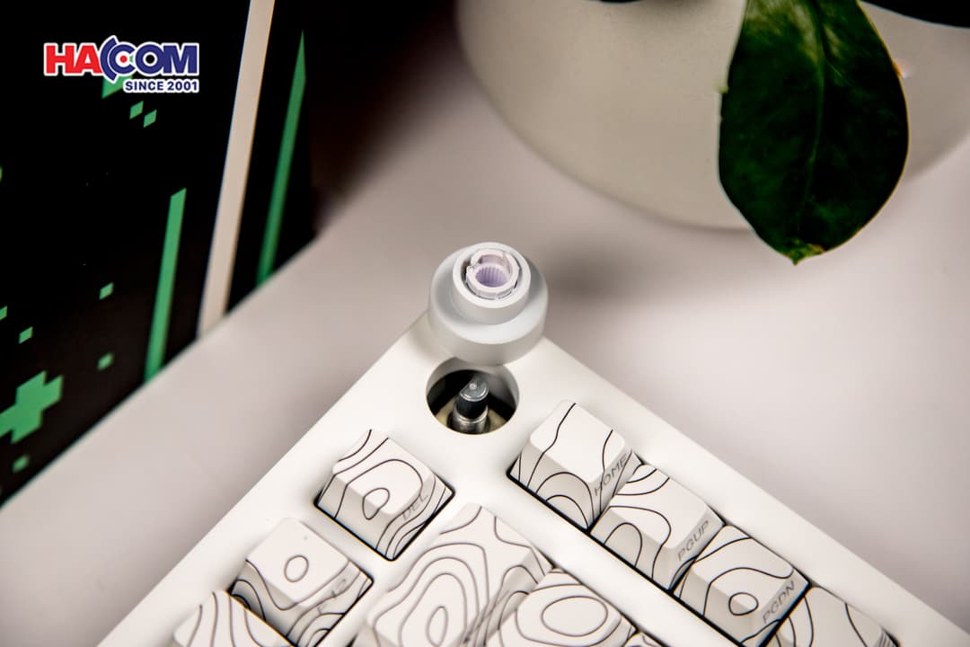 87856_ban_phim_monsgeek_m1_v5_sp_contour_white_05.JPG 11