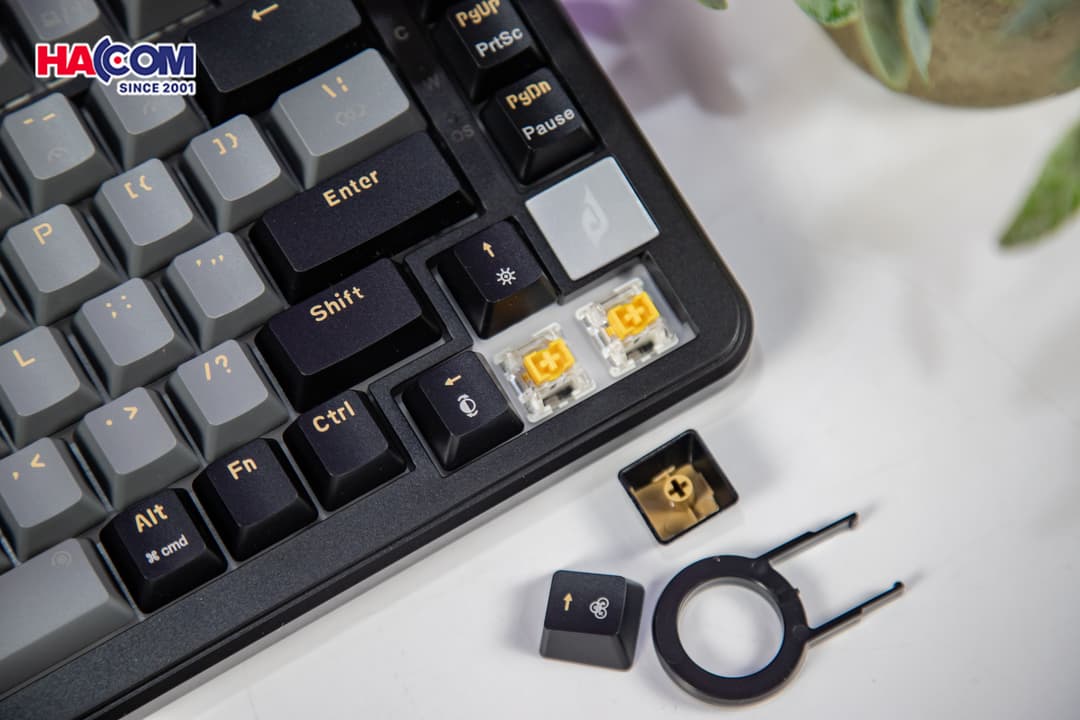 88813_ban_phim_co_gaming_edra_ek375ms_011.jpg 11